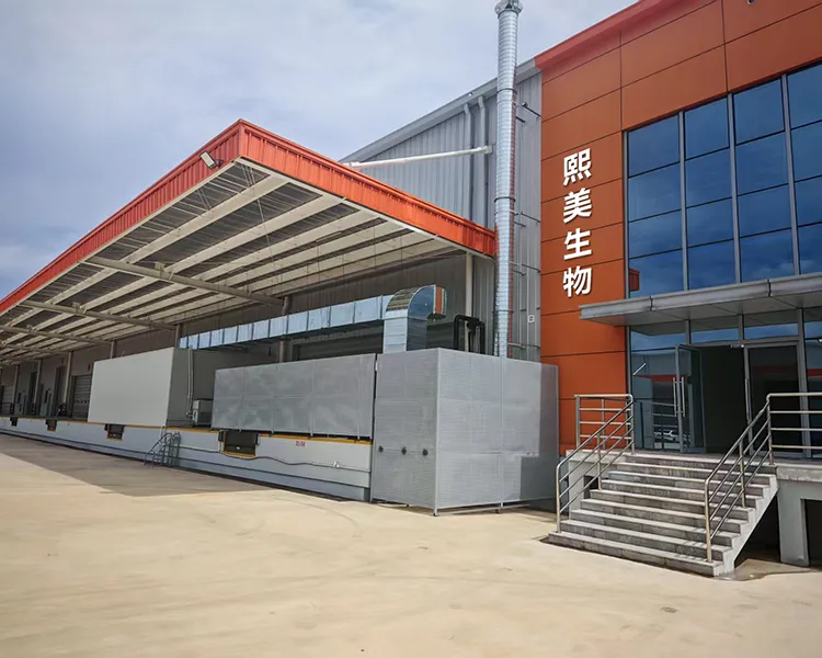 cmall کے بارے میں cmall کے بارے میں